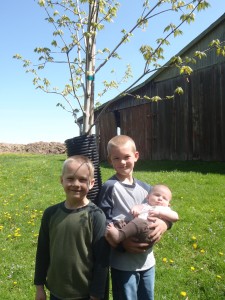 The boys by their tree at the farm