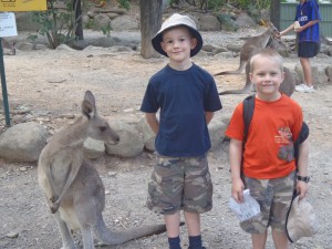 A highlight of our trip to the zoo - seeing lots of kangaroos!