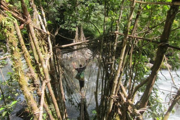 Jungle vine bridge crossing the river.