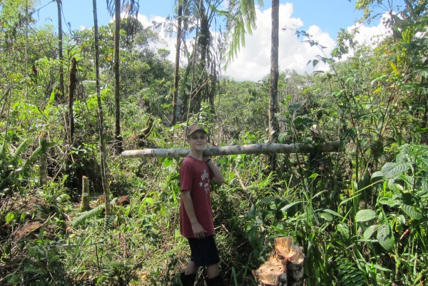 Luke helping to cut and carry wood for the fence