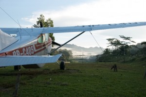 The airplane is tied down in the turnaround area looking down the departure path of the airstrip..