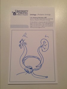 Here is the picture the doctor drew to explain the balloon in Gideon's kidney.