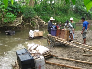 Supplies being taken to the village on carts and sleds hauled by water buffalo