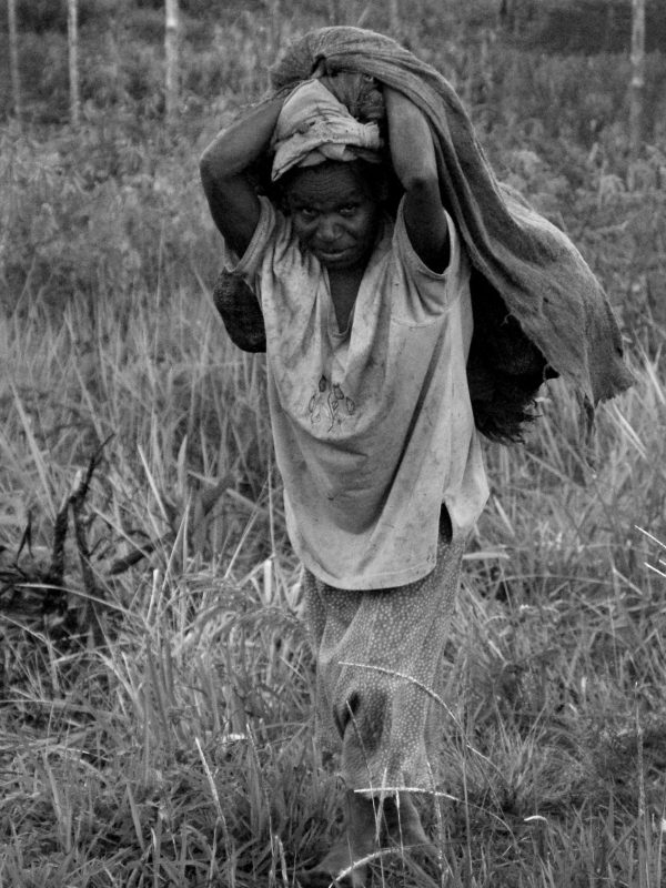 Becky's friend, barefooted, in the village carries a heavy load of sweet potatoes and taro from her garden daily. Gardens are inherited so are not necessarily close to their sleeping huts. 