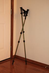 Ruth's Walking sticks