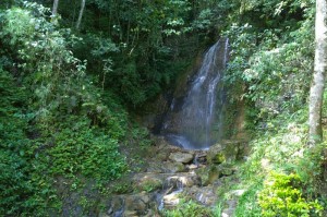 Chimbu waterfall