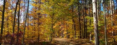 2020 Michigan Fall Color Tour