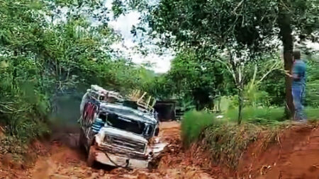 The goat got stuck in the mud