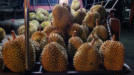Thai travel tidbits: Durian