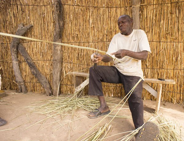 Stripping palm for basket-making