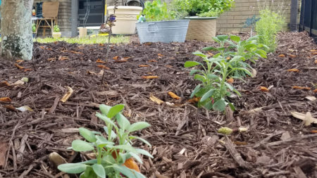 Go mulch yourself