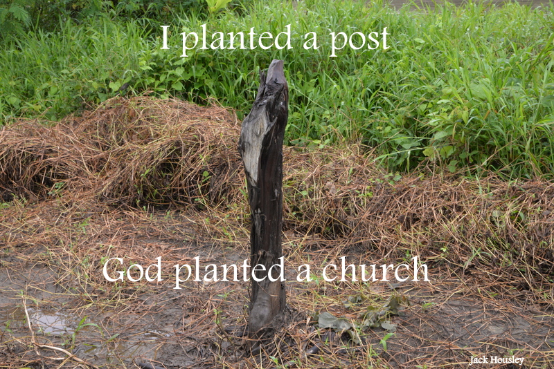 I Planted a Post
