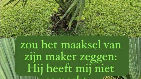 Wie is Hij? / Who is He?