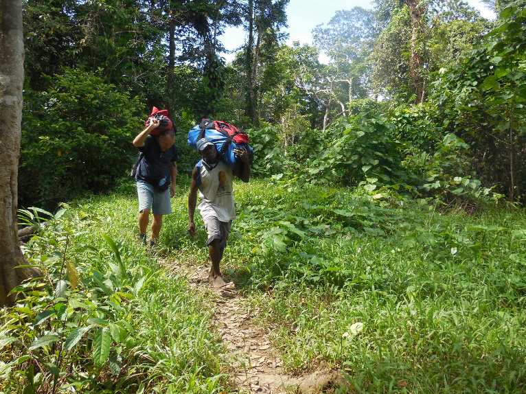 tracking-the-jungle-hike