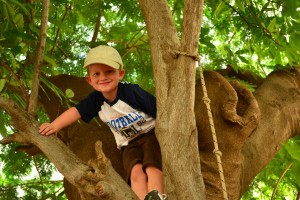 Our Tree Climber