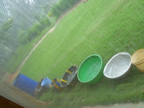 When it rained we put out buckets to try and catch the rain and stock up on water