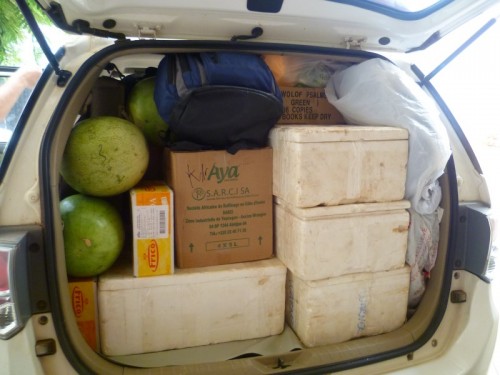 We loaded up our car with supplies for 3 missionary families