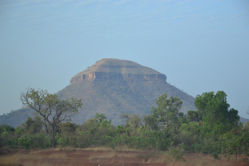 Wolof Studies