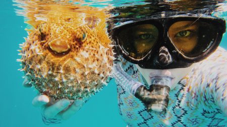 Snorkeling or Suffocating (Guest Post)