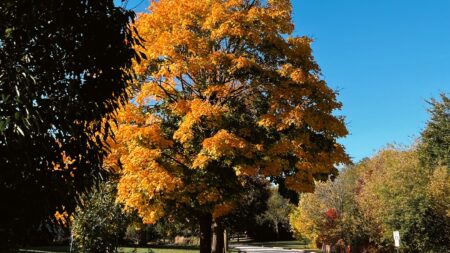 On the go, in every season…