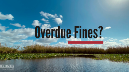 Overdue fines?