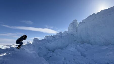 From the Arctic to the Tropics