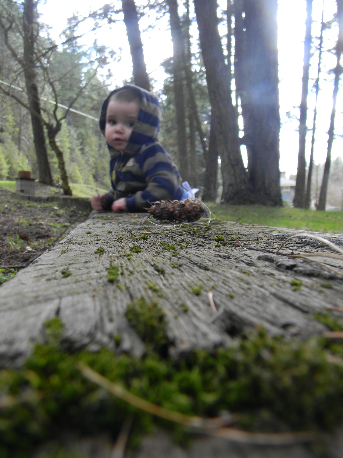 Nature boy