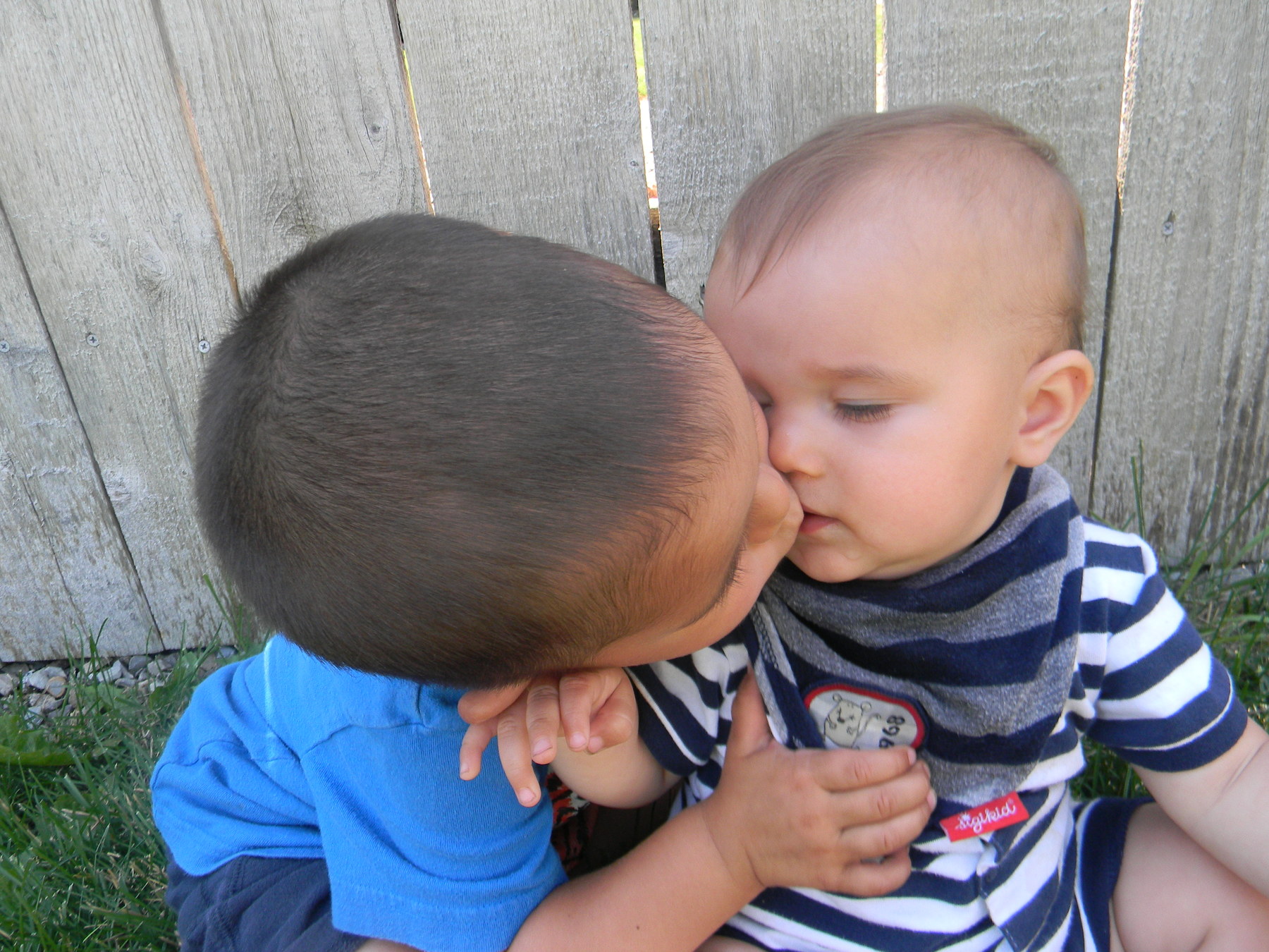 Brother kisses