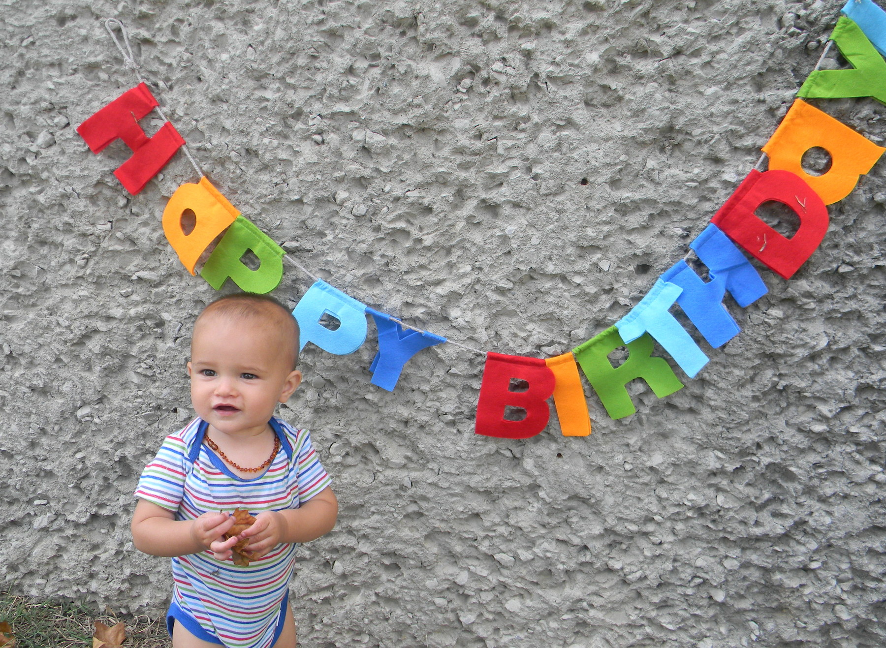 1 year old!