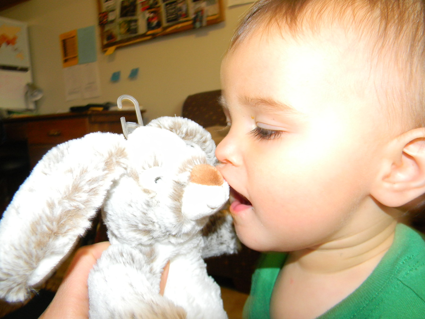 Kisses for his new bunny
