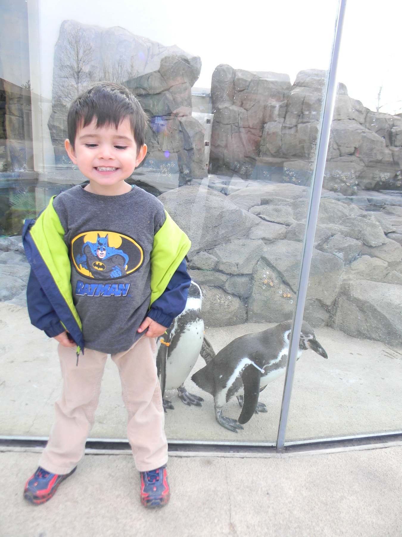 My big boy with the little penguins