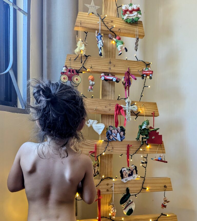 Dreaming of a Tropical Christmas | John and Asmara Anyan