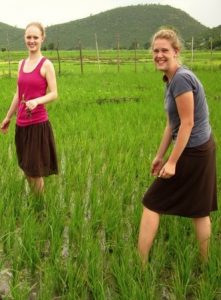 Weeding a rice field. Yes, even rice fields need to be weeded :)