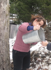 Pouring cups of maple sugar water pretty tastey