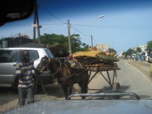 Horse Carts are used commonly to transport just about everything