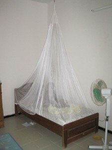 Mosquito Nets are important