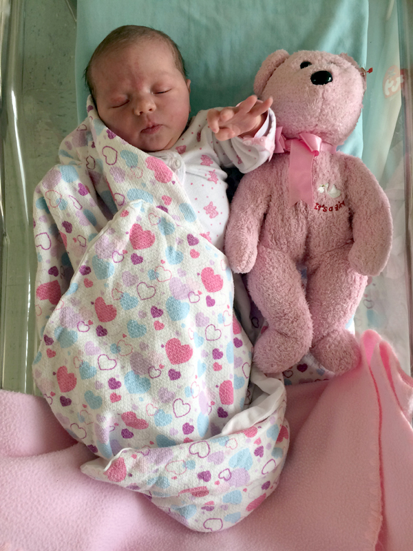 Lily Maria Husband, the day she was born, in her hospital crib next to her first (pink!) stuffed animal