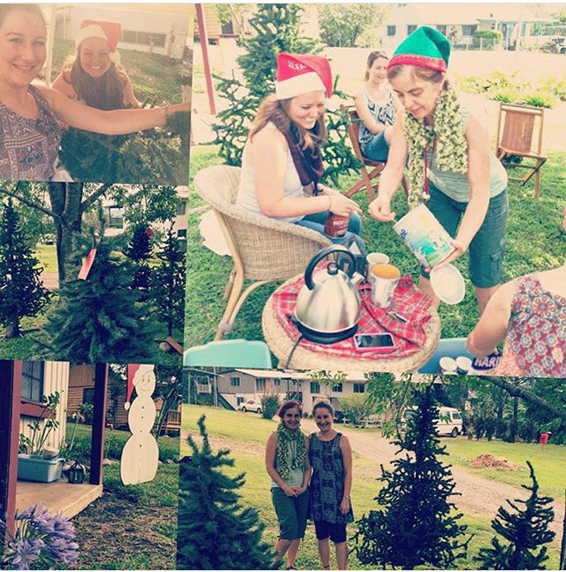 Our very own Christmas Tree Lot! Photo collage by G. Maxwell