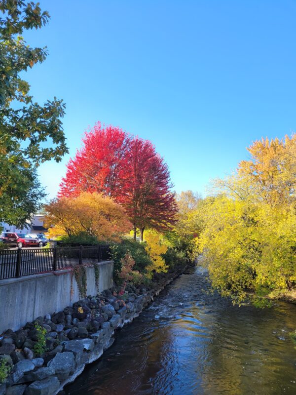 Fall colors along the Fox River