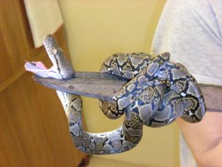 Taking Care of Business