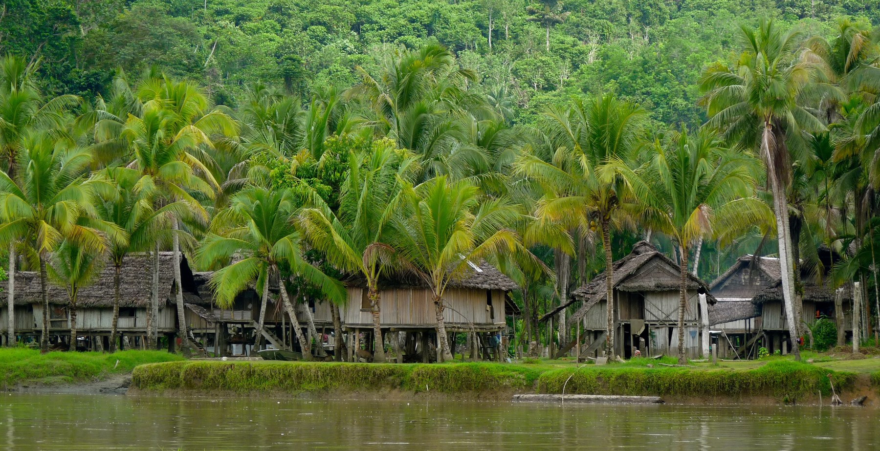 остров папуа священный лес