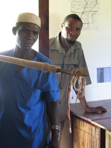 UNEXPTECTED OFFICE VISITOR