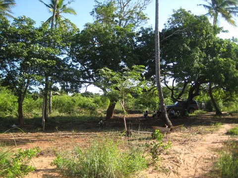 TEACHING SITE CLEARED
