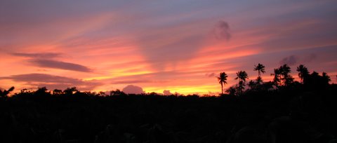 A VIEW FROM THE HOUSE