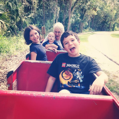 TRAIN RIDE AT THE ZOO