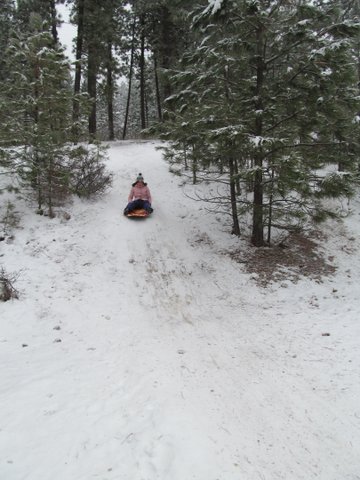 CALLIE SLEDDING