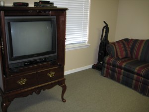 The Fish TV and Fish Pullout Couch