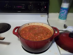 SalsaCooking