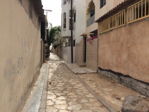 These alleys are woven all through our neighborhood. They are SO cool.