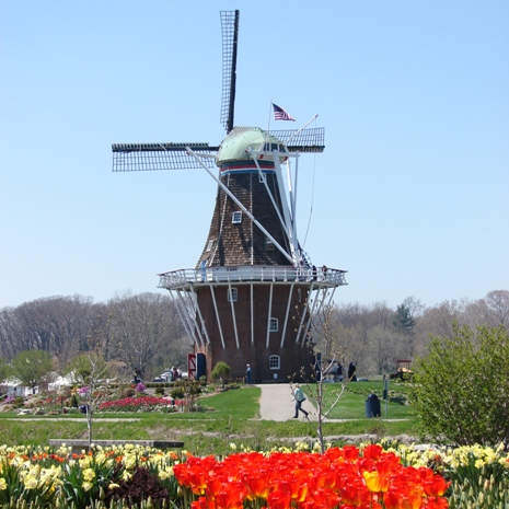 A Quick Trip to Holland